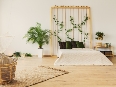 blog image of Houseplants